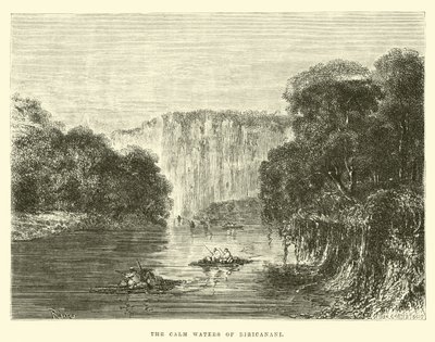 Les eaux calmes de Biricanani - Edouard Riou